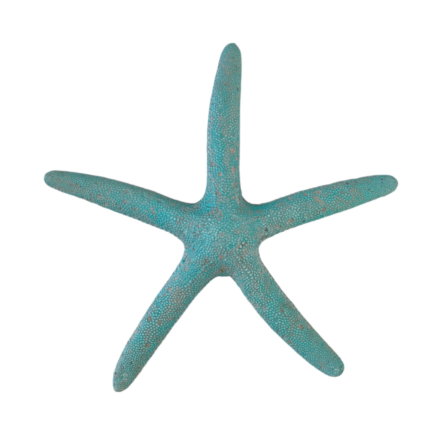 Blue Starfish