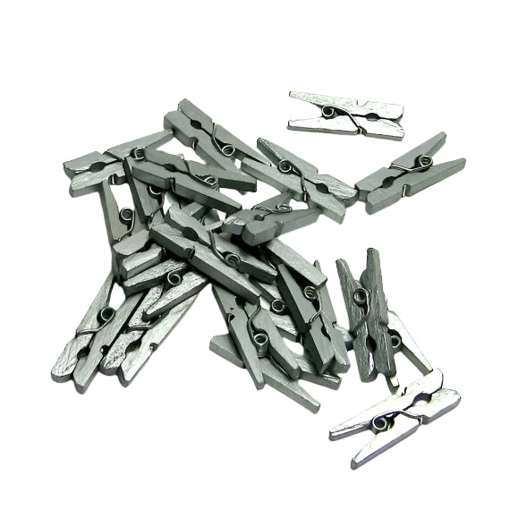 Mini Silver Pegs