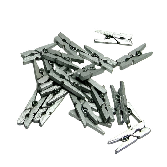 Mini Silver Pegs