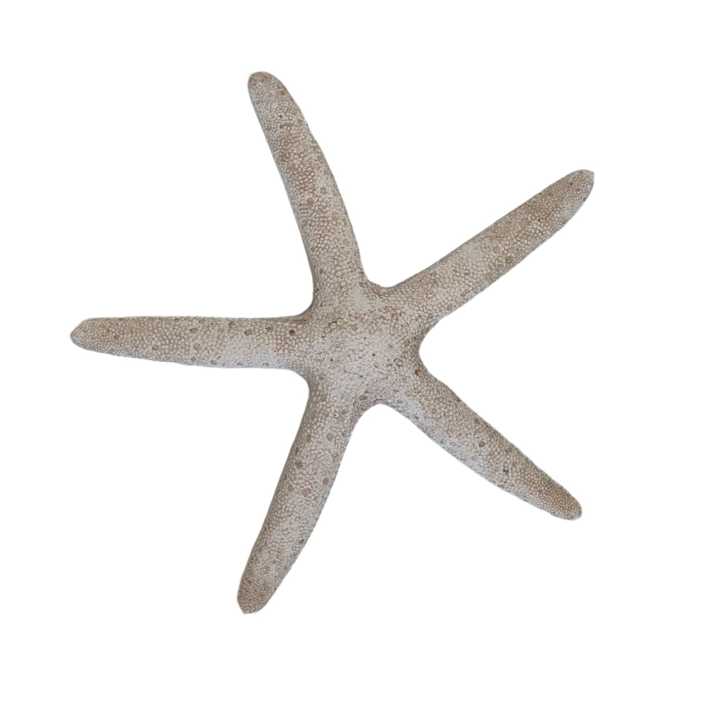 White Starfish