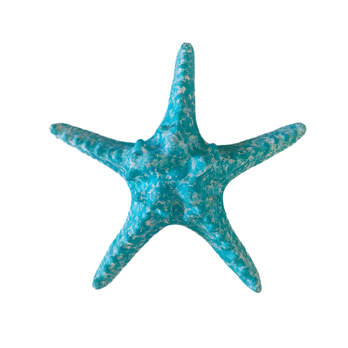 Teal Starfish