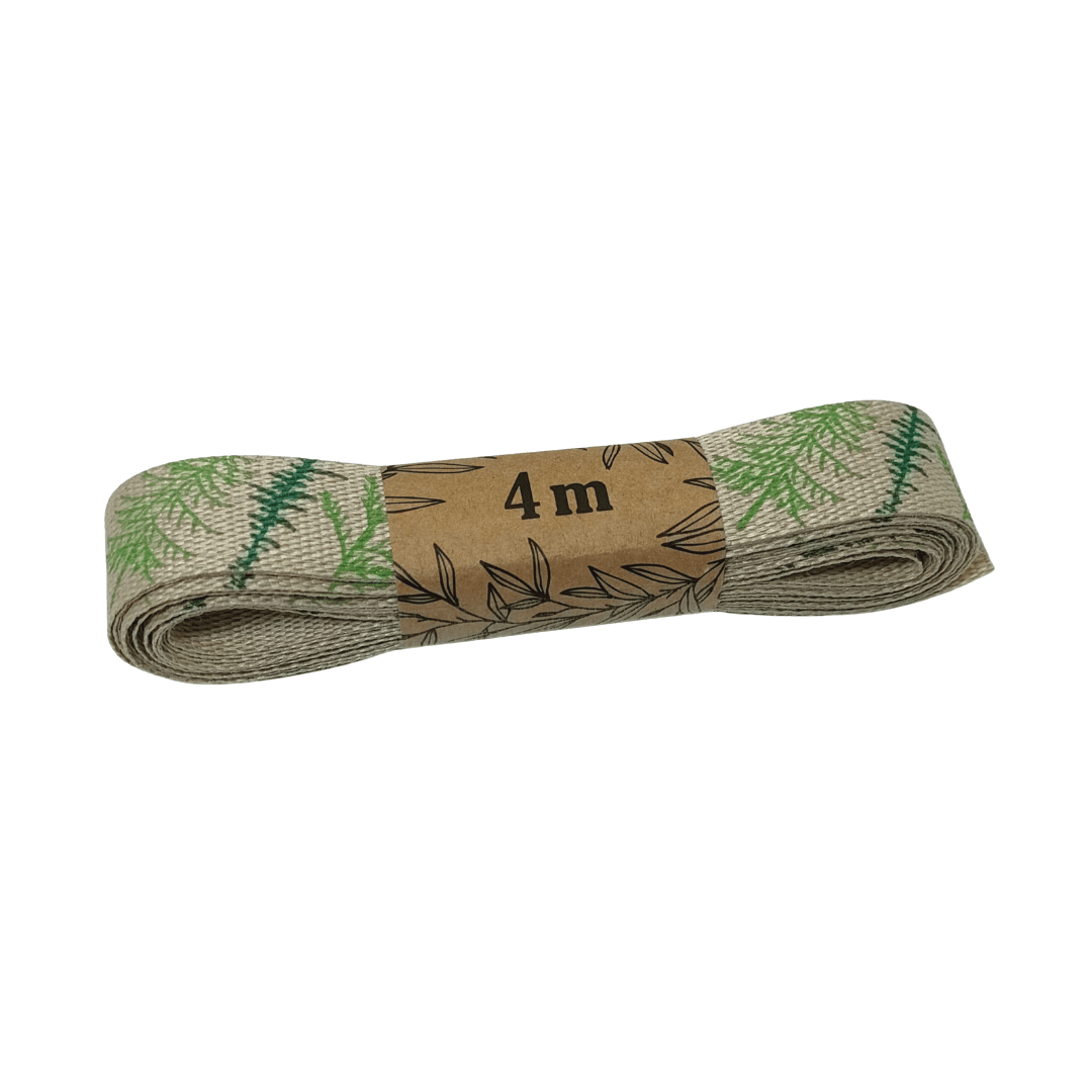 ribbon-fern-leaves