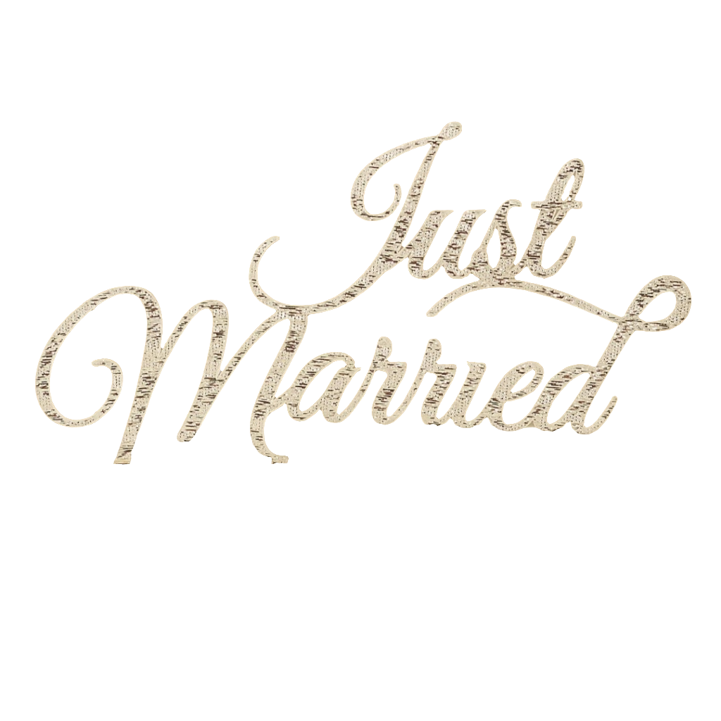silver just married cake topper