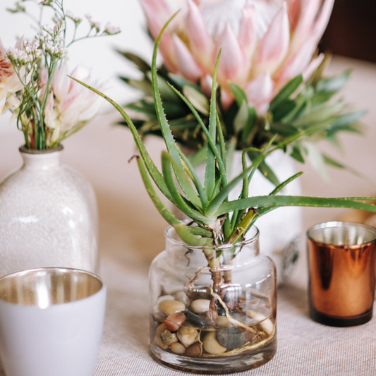 Bianca Jar Vase