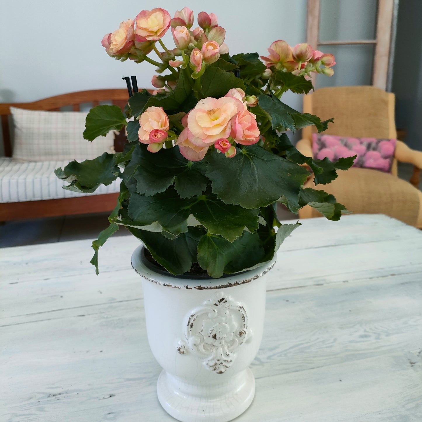 Ceramic Footed Florentine Vase Meli-Melo