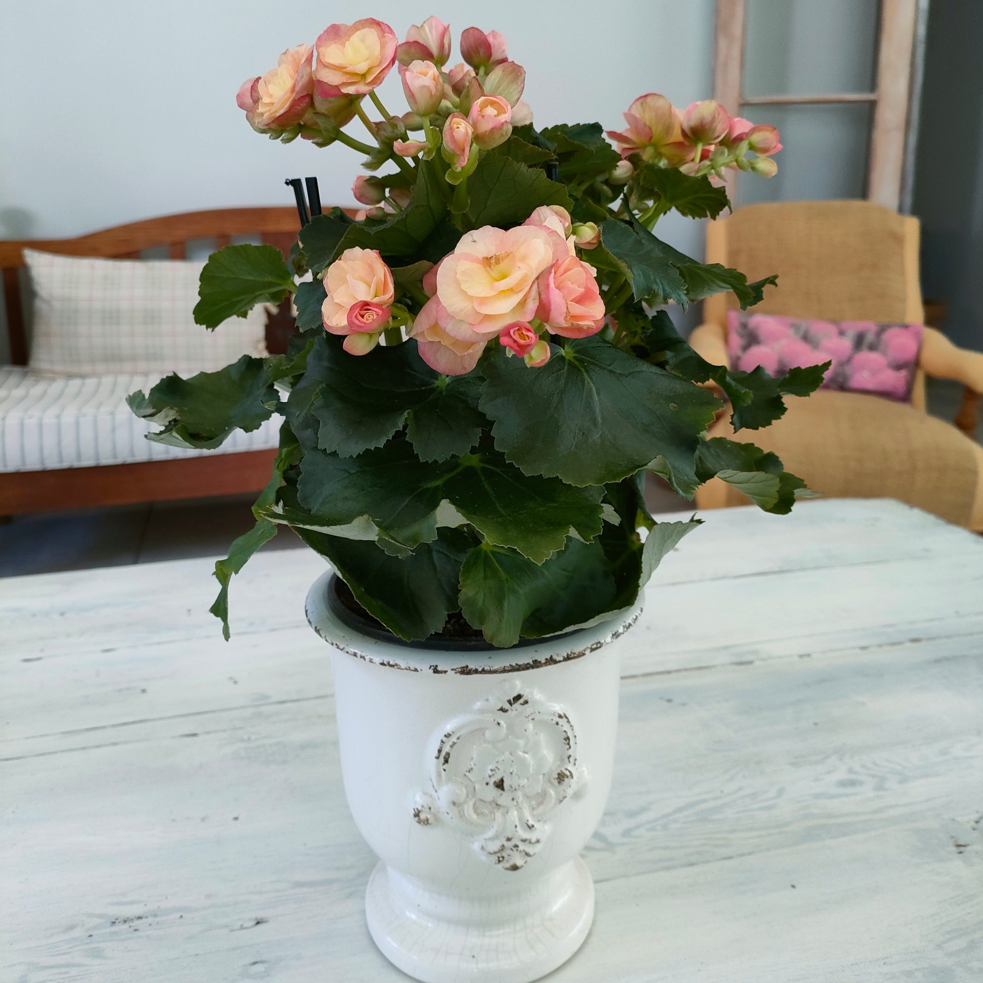 Ceramic Footed Florentine Vase Meli-Melo