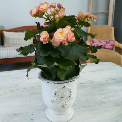 Ceramic Footed Florentine Vase Meli-Melo