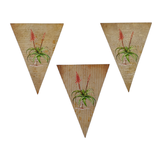 DIY Aloe Paper Bunting