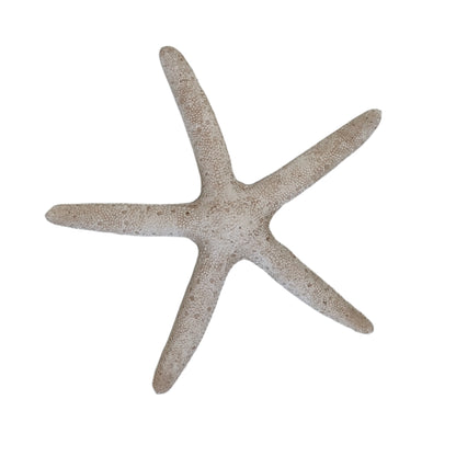 White Starfish
