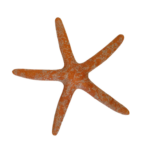 Orange Starfish