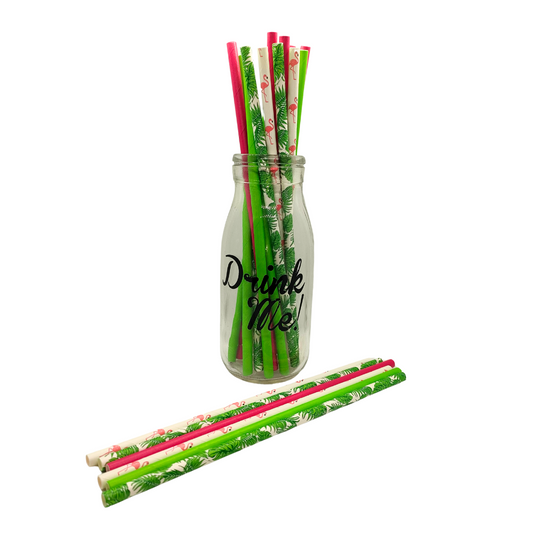 Tropical_Flamingo_Paper Straws
