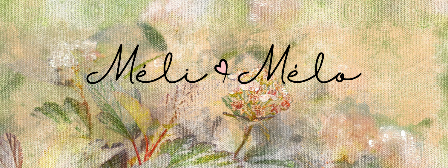 Website_Banner Meli Melo