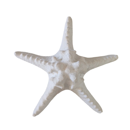 White Starfish